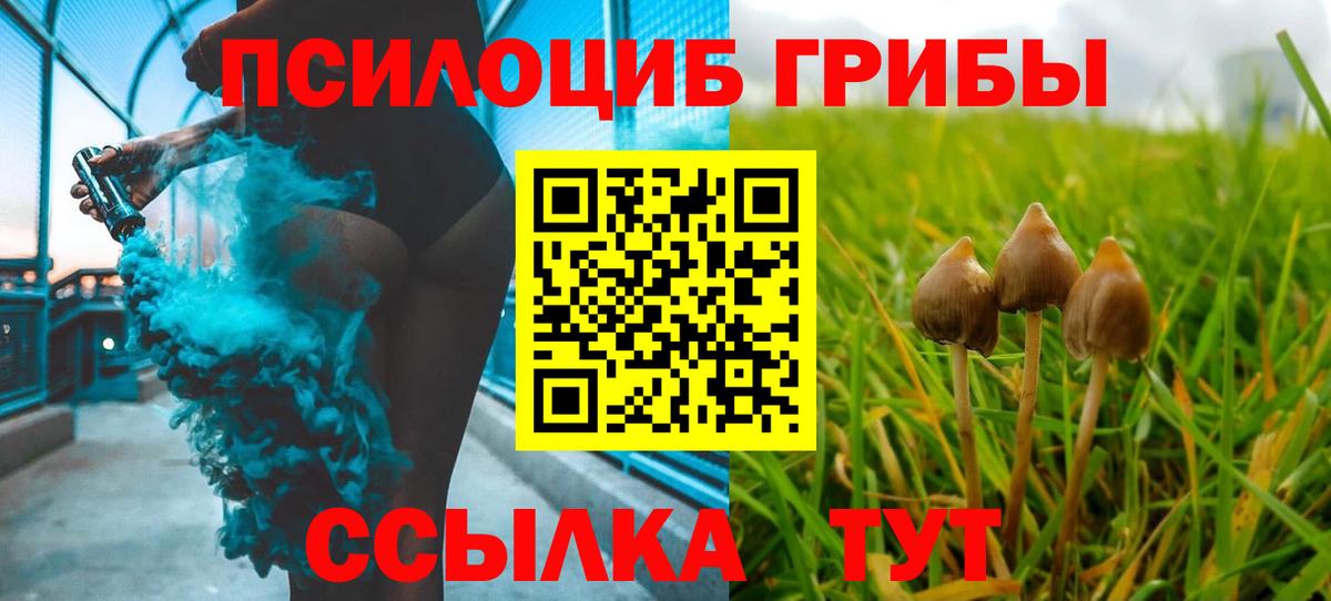 Псилоцибиновые грибы MAGIC MUSHROOMS Южноуральск