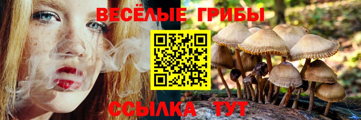 Галлюциногенные грибы прущие грибы  Псилоцибиновые грибы мицелий  Южноуральск  Вход с VPN 